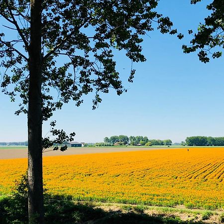 Slapen Bij De Zeeuwse Lala Acomodação com café da manhã IJzendijke Exterior foto